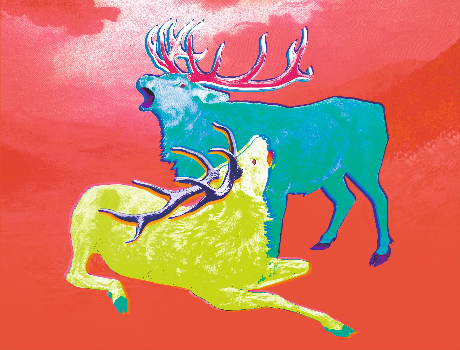 Funky Hunting colour study in coral, turquoise and lime