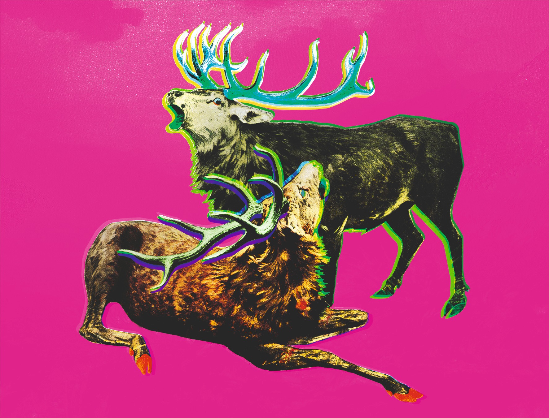 Funky Hunting colour study with pink ground