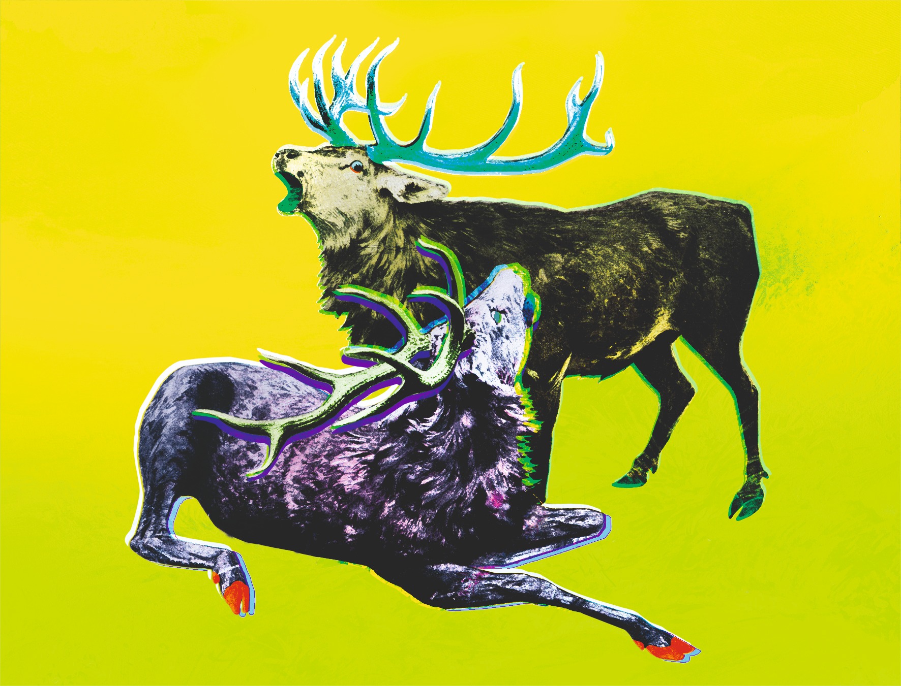 Funky Hunting colour study with acid yellow ground