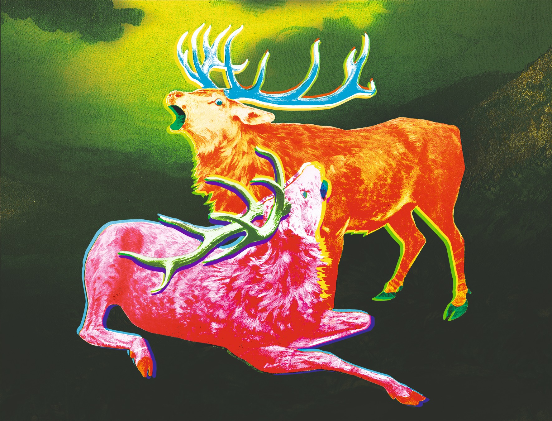 Funky Hunting colour study in dark green, orange and pink